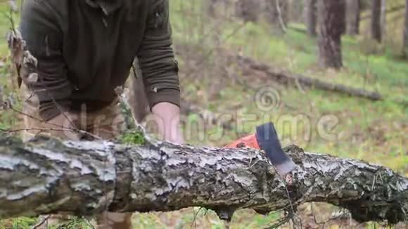 伐木工人在森林里砍柴视频的预览图