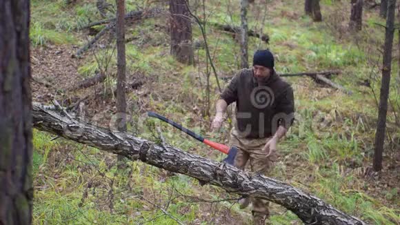 伐木工人在森林里砍柴视频的预览图