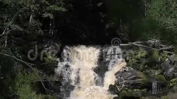 野生自然中的瀑布视频的预览图