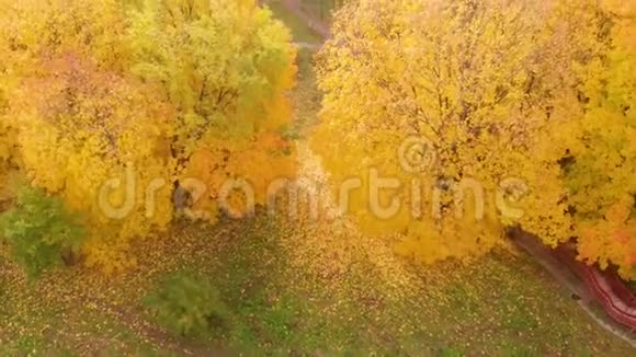 俄罗斯莫斯科Kolomenskoye公园秋季鸟瞰图视频的预览图