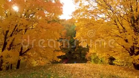 俄罗斯莫斯科Kolomenskoye公园秋季鸟瞰图视频的预览图