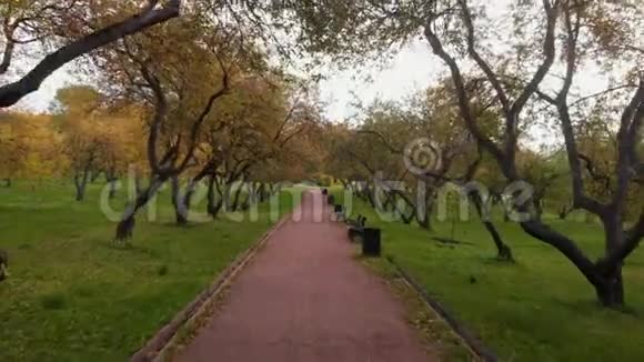 俄罗斯莫斯科科洛门斯克耶公园阿森松教堂秋季鸟瞰图视频的预览图