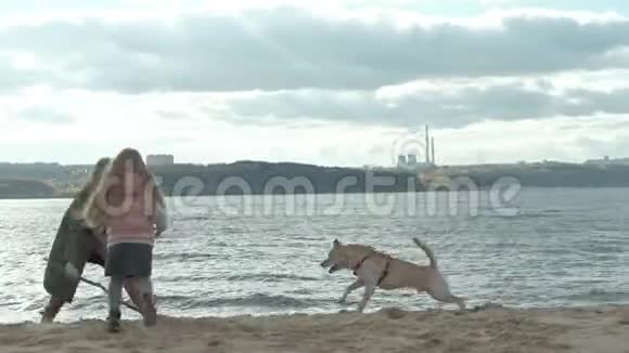 年轻的女人穿着一件外套有一个卷发的女孩妈妈和女儿跑着在海滩上和一只棕色的狗玩抱着她视频的预览图