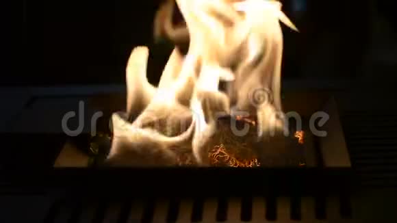 一个生物壁炉燃烧在乙醇气体上视频的预览图