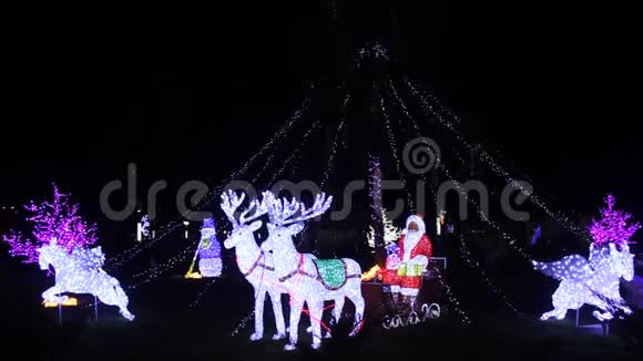 在黑夜中闪耀圣诞视频的预览图