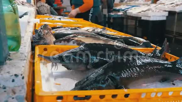 街市集新海冰鱼展视频的预览图
