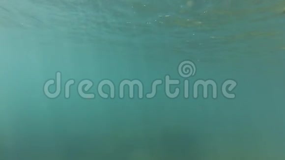 蓝色的水下海洋视频的预览图