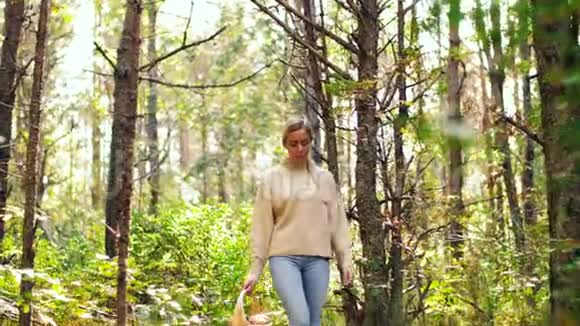 秋林采蘑菇的年轻女子视频的预览图