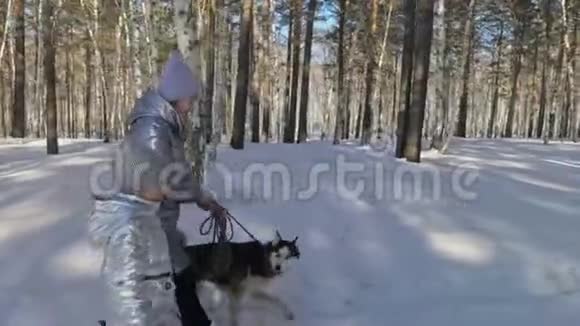 美丽的女人和小孩在冬天的森林里和哈士奇的狗散步快乐的年轻母亲和女儿视频的预览图