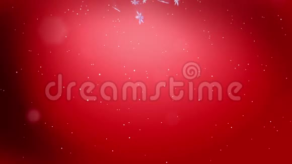 装饰的3d雪花在空气中缓慢地漂浮并在红色背景上发光作为圣诞动画使用新视频的预览图