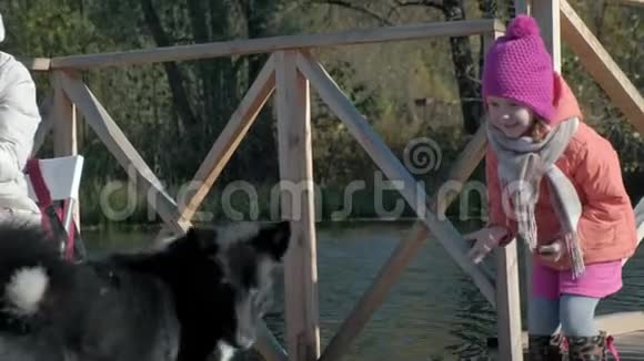小女孩女儿穿着暖和的衣服和狗玩耍在河边的木桥上野餐周末寒冷视频的预览图