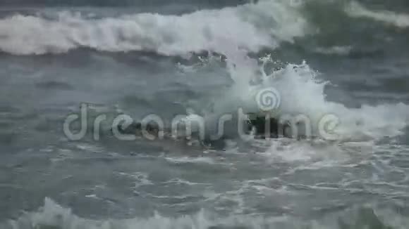 沙滩海浪视频的预览图