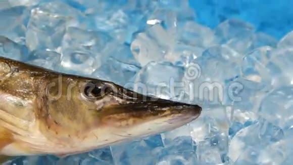 转盘上的冰里有鱼刺视频的预览图