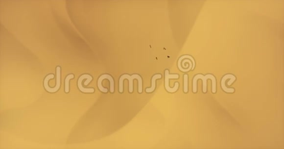 空中鹰盘旋在沙漠和沙丘上视频的预览图