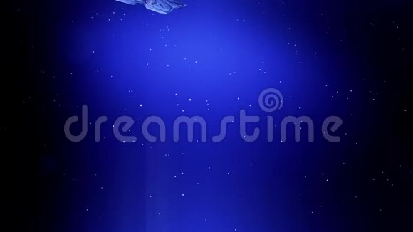 装饰的3d雪花在空气中缓慢地漂浮并在蓝色背景上发光作为圣诞动画使用新视频的预览图