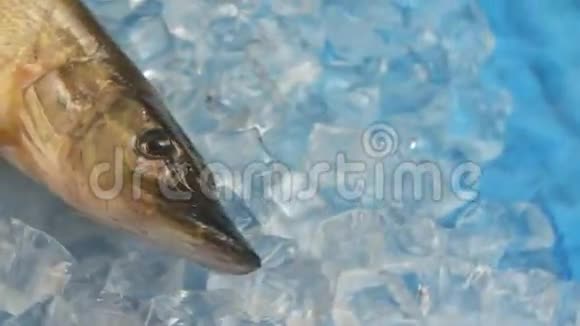 转盘上的冰里有鱼刺视频的预览图