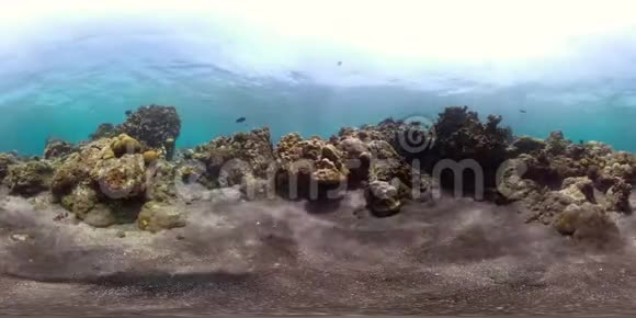 珊瑚礁和热带鱼vr360视频的预览图