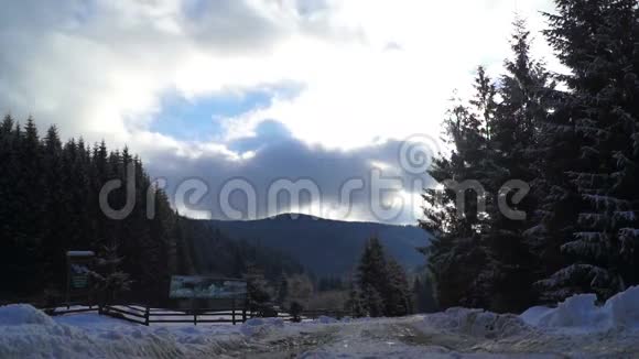 冬季景观雪林树视频的预览图