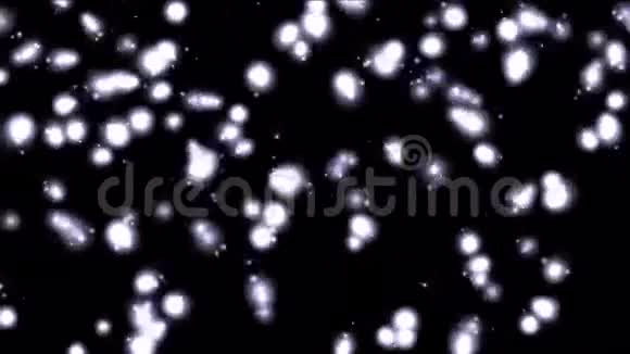 摘要点微细菌孢子虫背景线虫昆虫背景视频的预览图