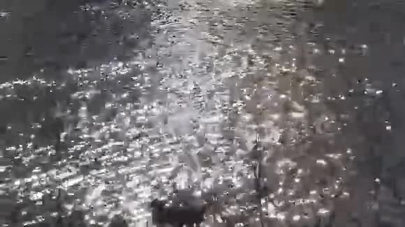 阳光反射在水中视频的预览图