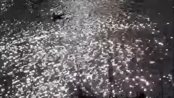 水的阳光反射视频的预览图