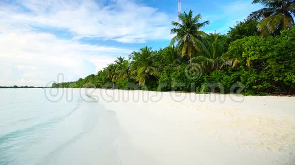热带岛屿沙滩上有棕榈树和清澈的海水视频的预览图