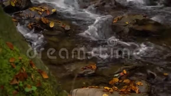 秋天的森林山林之中山河流着冷水视频的预览图
