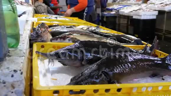 街头市场上有新鲜海鱼在冰上展示视频的预览图
