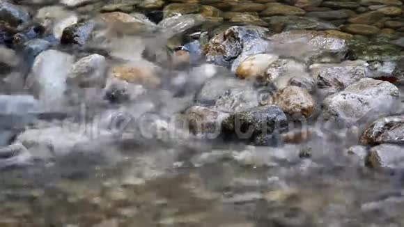 清澈的淡水溪流视频的预览图