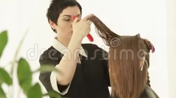 理发师在美发沙龙理发时梳理女性头发关闭理发师在视频的预览图