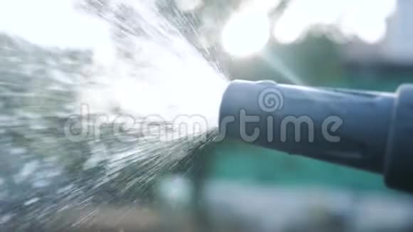 园林护理理念生活方式泼水慢动作视频拿着花园水管浇水的女人视频的预览图