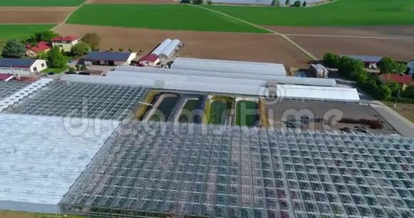 飞过大温室种植花卉的种植园大型温室欧洲农田间的温室视频的预览图