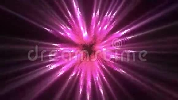 移动粉色线条的荧光灯视频的预览图