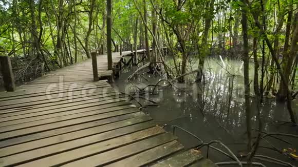泰国雷公东红树林中的木桥视频的预览图
