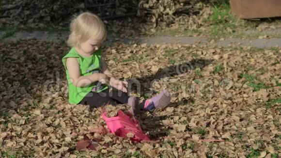 可爱的女婴在秋天玩树叶视频的预览图