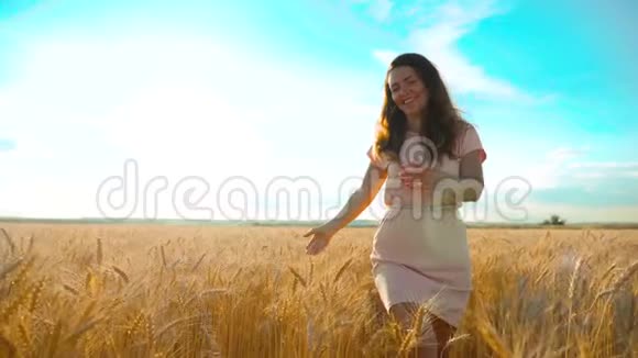 女孩正沿着麦田走大自然慢动作视频美丽的生活方式女孩穿着白色的裙子跑着大自然视频的预览图