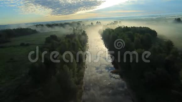 阳光下的晨雾视频的预览图