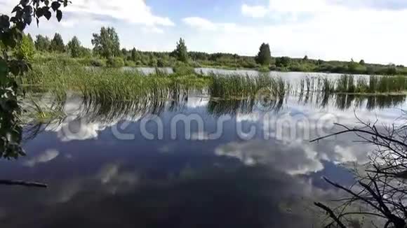 河晴朗的夏日视频的预览图