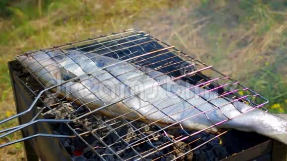 烤架上的鱼鳟夏季烧烤概念视频的预览图