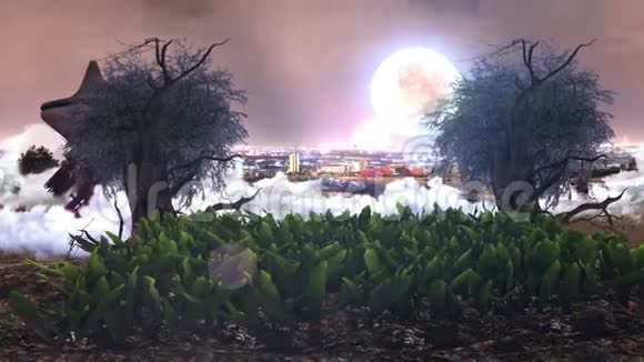 夜晚树木草地和地标后面的循环世界和月亮视频的预览图
