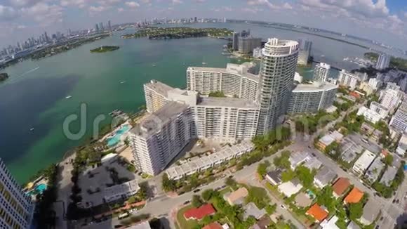 火烈鸟迈阿密海滩4k视频视频的预览图