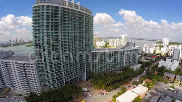 火烈鸟迈阿密海滩4k视频视频的预览图