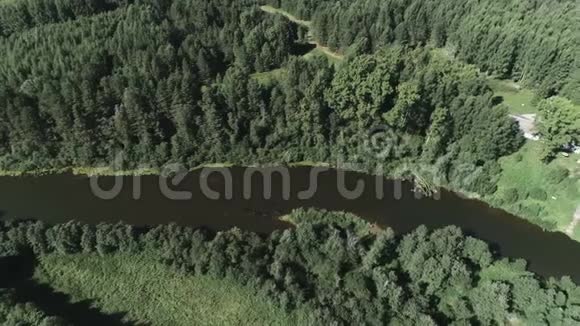 鸟瞰森林中的河村美景视频的预览图