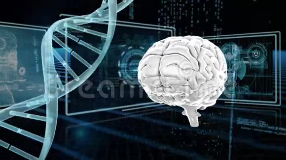 DNA和人脑视频的预览图