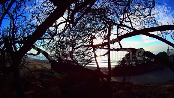 加州卡尔斯巴德塘乐浮滩的分支视频的预览图
