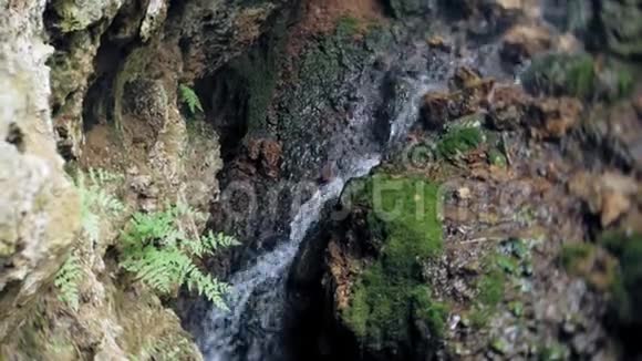 瀑布绿林河溪景观视频的预览图