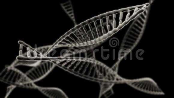 许多DNA链在黑色背景上旋转视频的预览图