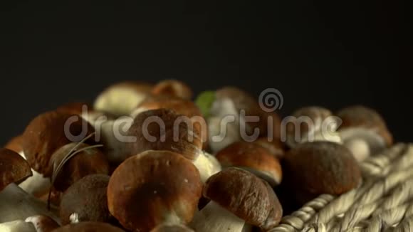 森林蘑菇囚犯天然产物DelicacyRotation慢镜头视频的预览图