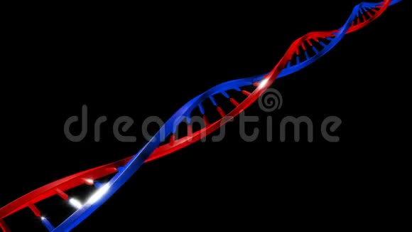 能够无缝循环的DNA链视频的预览图