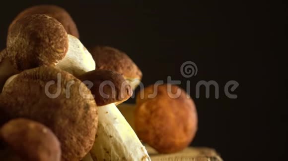 森林蘑菇囚犯天然产物DelicacyRotation慢镜头视频的预览图